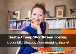 SEO Tips from CheapHostingASP.NET
